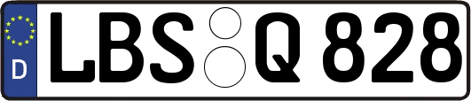 LBS-Q828