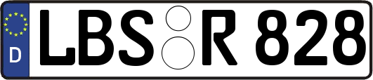 LBS-R828