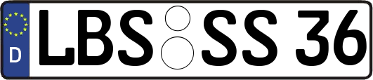 LBS-SS36