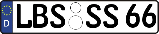 LBS-SS66