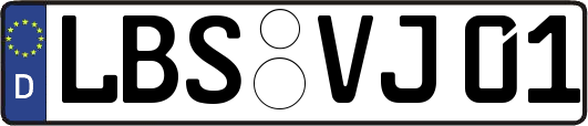 LBS-VJ01