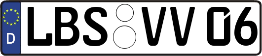 LBS-VV06