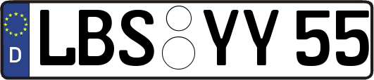 LBS-YY55