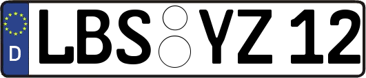 LBS-YZ12