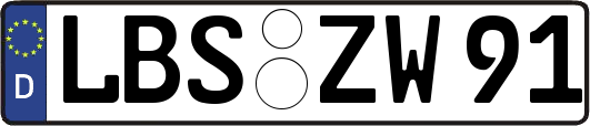 LBS-ZW91