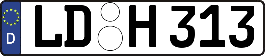 LD-H313