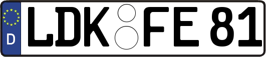 LDK-FE81
