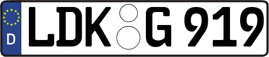 LDK-G919