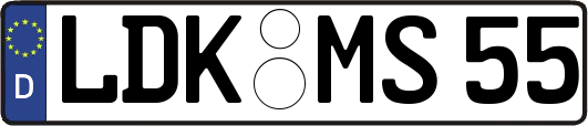 LDK-MS55