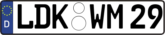 LDK-WM29