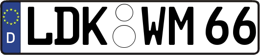 LDK-WM66