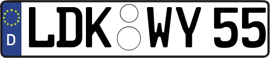 LDK-WY55