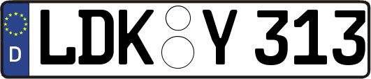 LDK-Y313