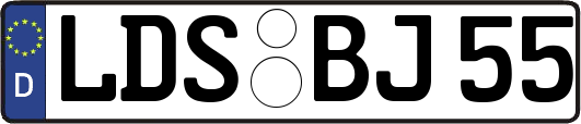LDS-BJ55
