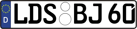 LDS-BJ60