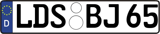 LDS-BJ65