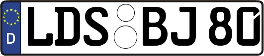 LDS-BJ80
