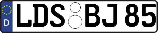 LDS-BJ85