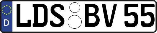 LDS-BV55