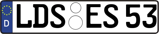 LDS-ES53