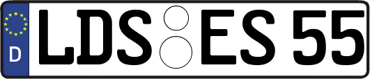 LDS-ES55