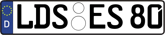 LDS-ES80