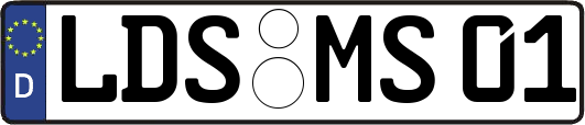 LDS-MS01
