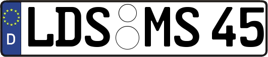 LDS-MS45