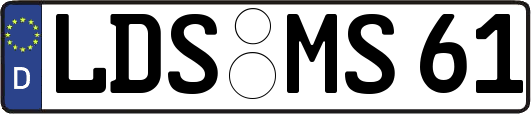 LDS-MS61