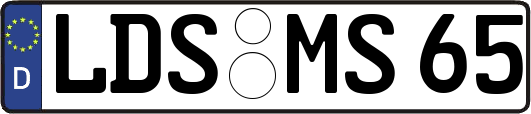 LDS-MS65