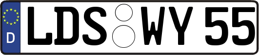 LDS-WY55