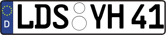 LDS-YH41