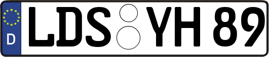 LDS-YH89
