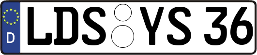LDS-YS36