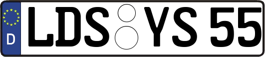 LDS-YS55