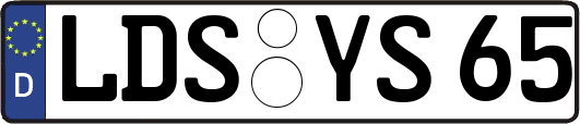 LDS-YS65