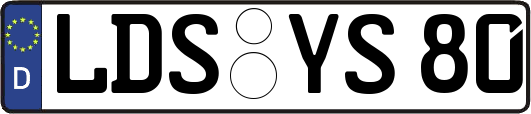 LDS-YS80