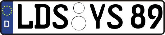 LDS-YS89