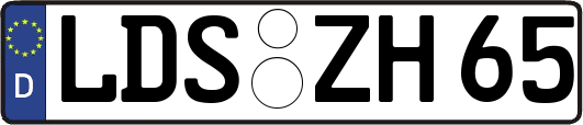 LDS-ZH65