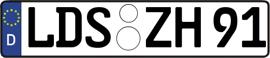 LDS-ZH91