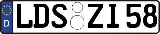 LDS-ZI58