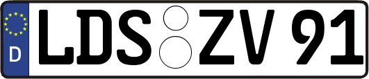 LDS-ZV91