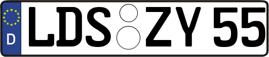 LDS-ZY55