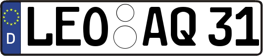 LEO-AQ31