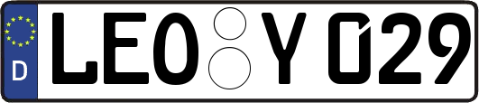 LEO-Y029