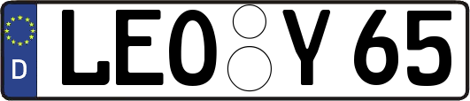 LEO-Y65