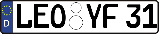 LEO-YF31