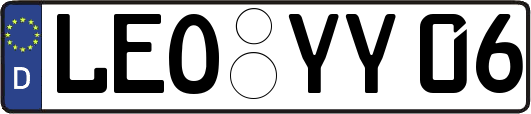 LEO-YY06