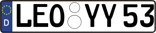 LEO-YY53