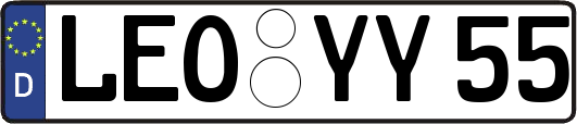LEO-YY55